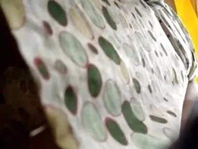 Смажена еротика відео онлайн смугленька попки в олії з кремпаєм в кису.